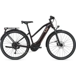 Amiti E+ 2 28MPH E-Bike (2022)