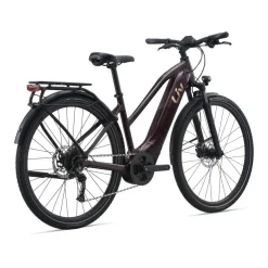 Amiti E+ 2 28MPH E-Bike (2022)