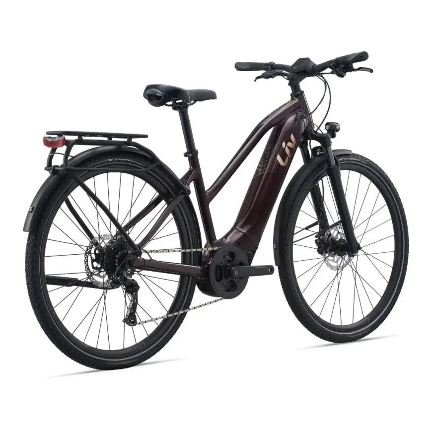 Amiti E+ 2 28MPH E-Bike (2022)