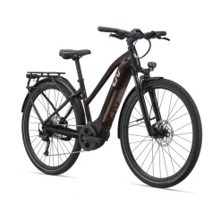 Amiti E+ 2 28MPH E-Bike (2022)