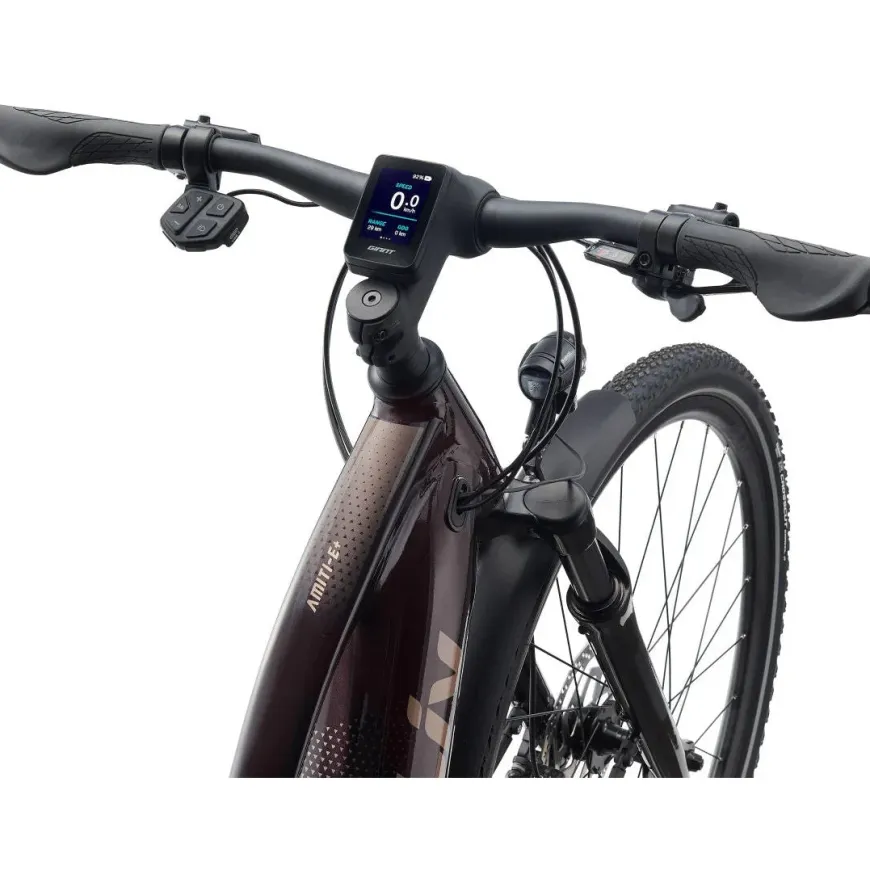 Amiti E+ 2 28MPH E-Bike (2022)