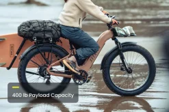Aventure 3 Step Through Ebike