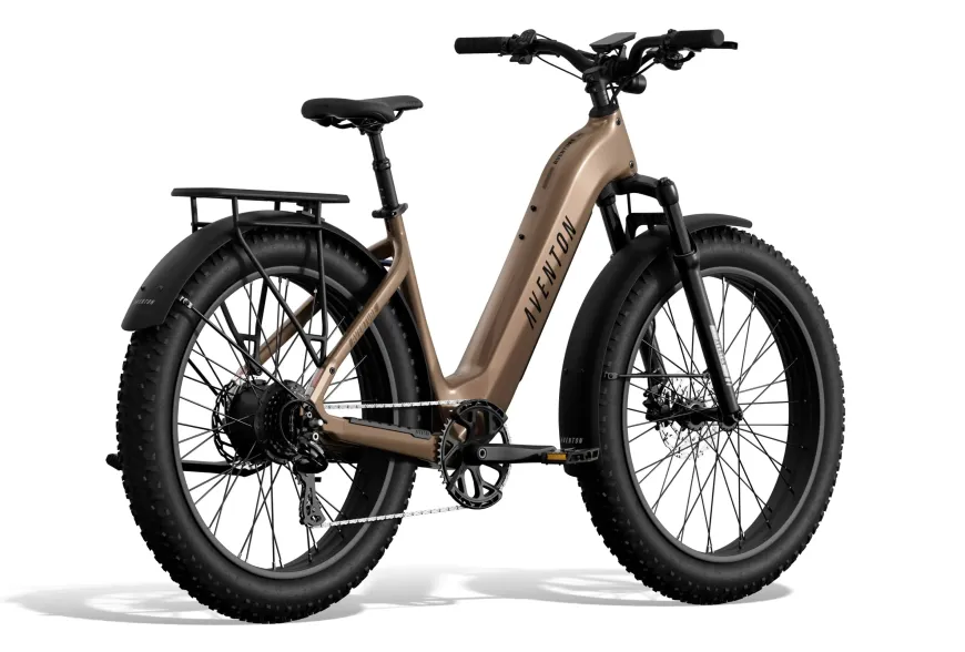 Aventure 3 Step Through Ebike