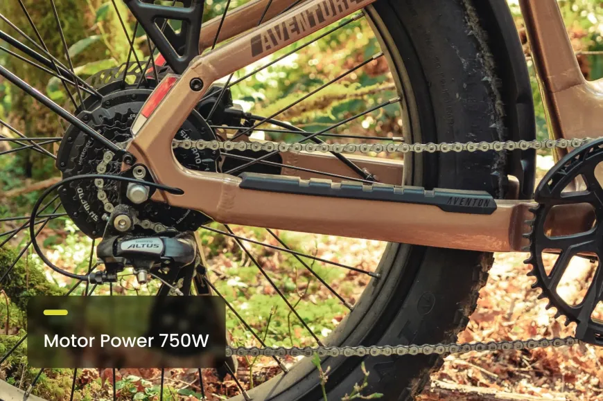 Aventure 3 Step Through Ebike
