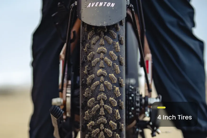 Aventure 3 Step Through Ebike