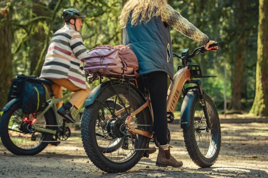 Aventure 3 Step Through Ebike