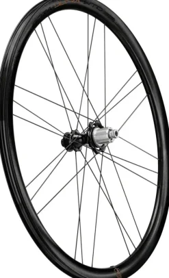 Campagnolo Bora Ultra WTO 33 Rear Wheel - 700c 12 x 142mm Center-Lock N3W 2-Way Fit Gray