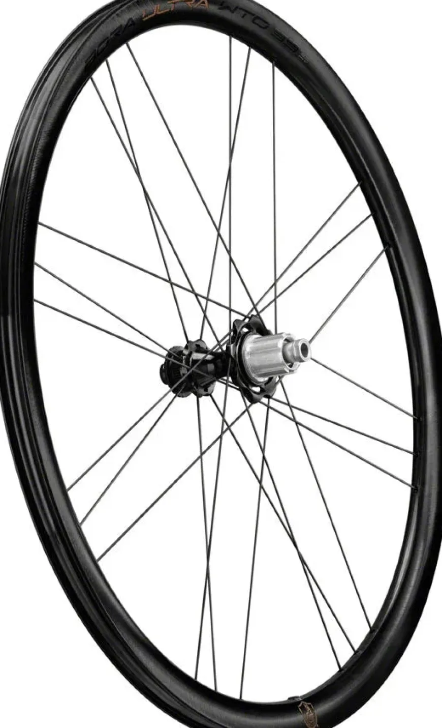 Campagnolo Bora Ultra WTO 33 Rear Wheel - 700c 12 x 142mm Center-Lock N3W 2-Way Fit Gray