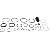 Cane Creek Kitsuma - Air Spring Service Kit 100hrs