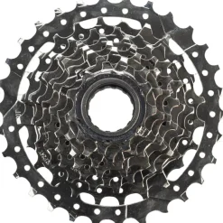 Dimension 8-Speed 11-30t Nickel Plated Freewheel