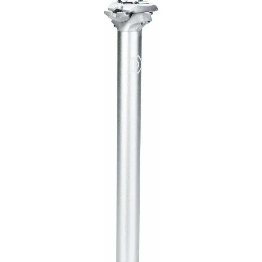 Dimension Two-Bolt Sivler BIke Seatpost