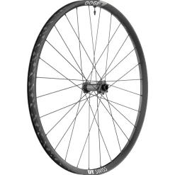 DT Swiss E 1900 Spline 30 Front Wheel - 29" 15 x 110mm 6-Bolt Black