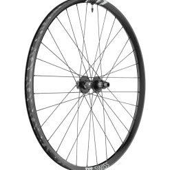 DT Swiss F 1900 Classic Rear Wheel - 29" 12 x 148mm 6-Bolt XD Ratchet LN 18 BLK