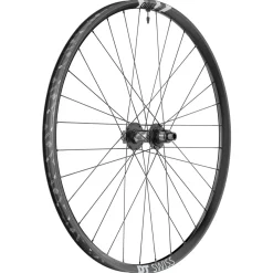 DT Swiss F 1900 Classic Rear Wheel - 29" 12 x 157mm 6-Bolt XD Ratchet LN 18 BLK