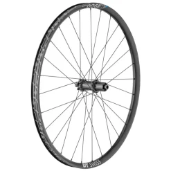 DT Swiss H 1900 Spline 30 Rear Wheel - 29" 12 x 148mm 6-Bolt HG 11 Black