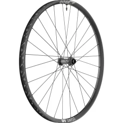 DT Swiss M 1900 Spline 30 Front Wheel - 29" 15 x 100mm Center-Lock Black