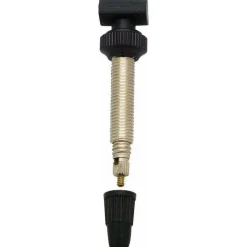 DT Swiss Wide Base 32mm Tubeless Bike Valve