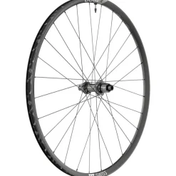 DT Swiss X 1900 Spline 25 Rear Wheel - 29", 12 x 148mm, Center-Lock, Micro Spline