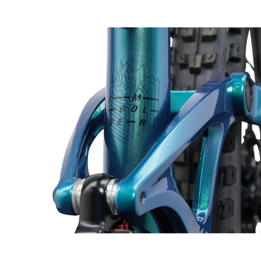 Embolden 29" 2 Mountain Bike (2024)