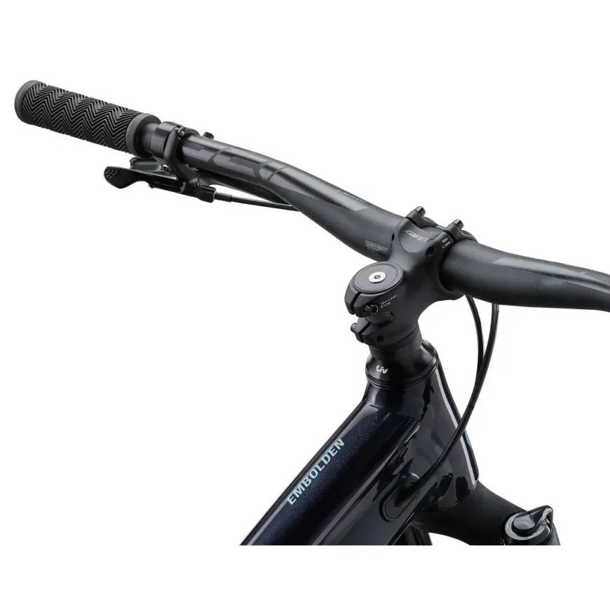 Embolden 29" 2 Mountain Bike (2024)