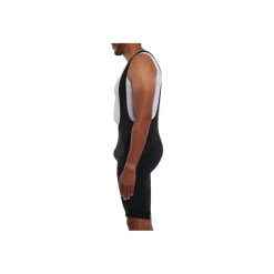 Giant Men's Alpint Bib Shorts - Black