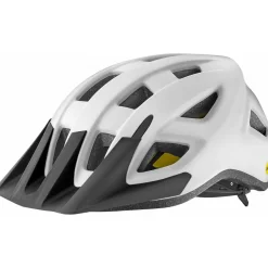 Giant Path Bike Helmet