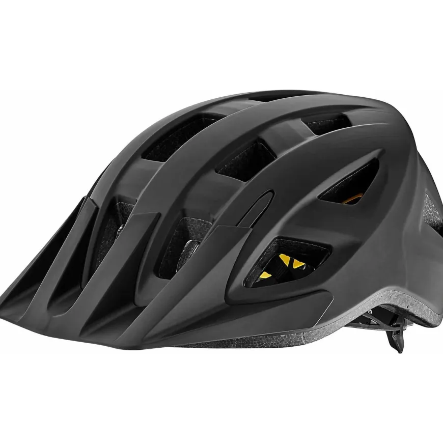 Giant Path Bike Helmet