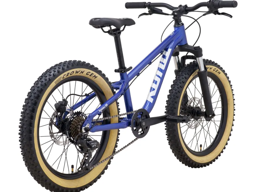 Honzo 20