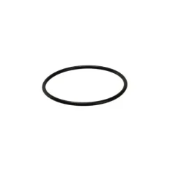 KS O-Ring 31x1.5 LEV LEVDX 2018-19 E20