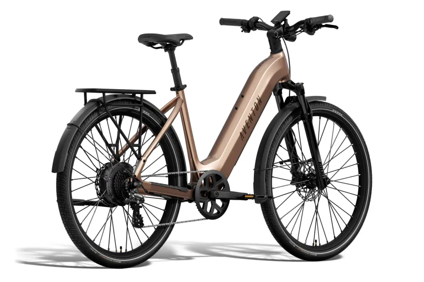 Level 4 REC Step-Through Ebike