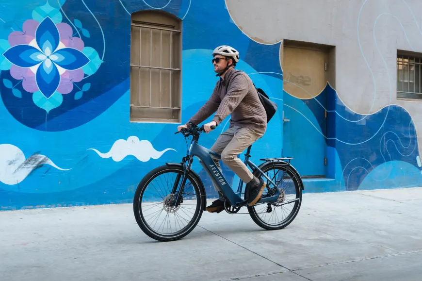 Level 4 REC Step-Through Ebike