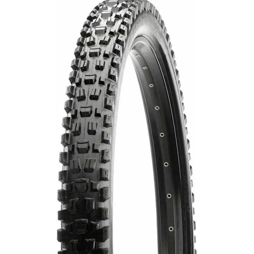 Maxxis Assegai Bike Tire - 29 x 2.6