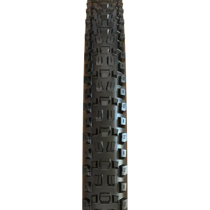 Maxxis Assegai Tire, Tubeless, Tan, EXO, Wide Trail - 29 x 2.5"
