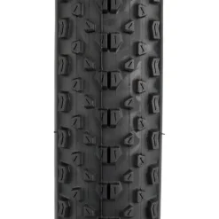 Maxxis Minion DHR II Tubeless, Flat Resist Bike Tire 29 x 2.3"
