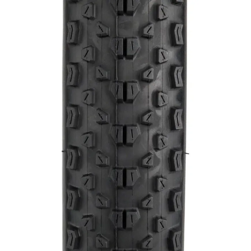 Maxxis Minion DHR II Tubeless, Flat Resist Bike Tire 29 x 2.3"