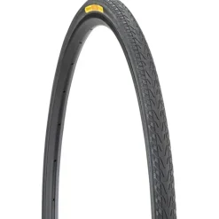 Panaracer Pasela Touring-Hybrid Bike Tire - 700 x 28c