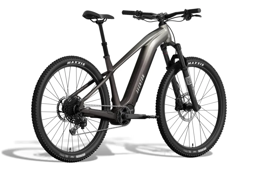 Ramblas ADV Ebike