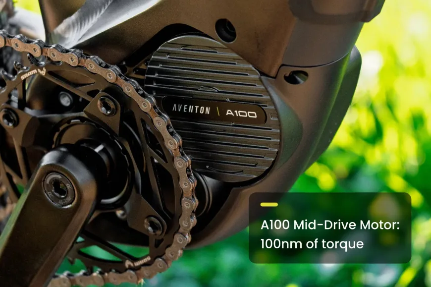 Ramblas ADV Ebike