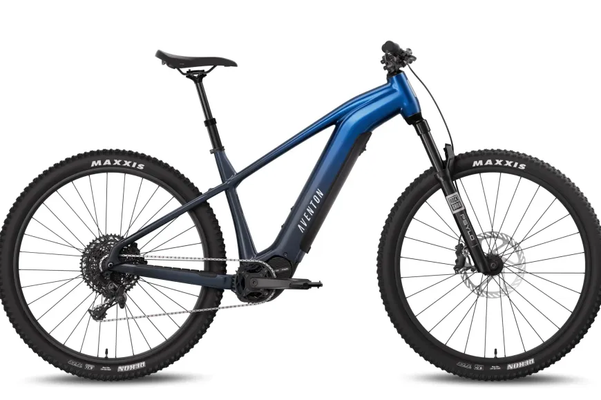 Ramblas ADV Ebike