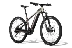 Ramblas ADV Ebike