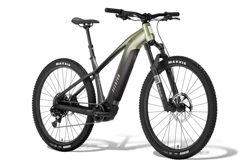 Ramblas ADV Ebike