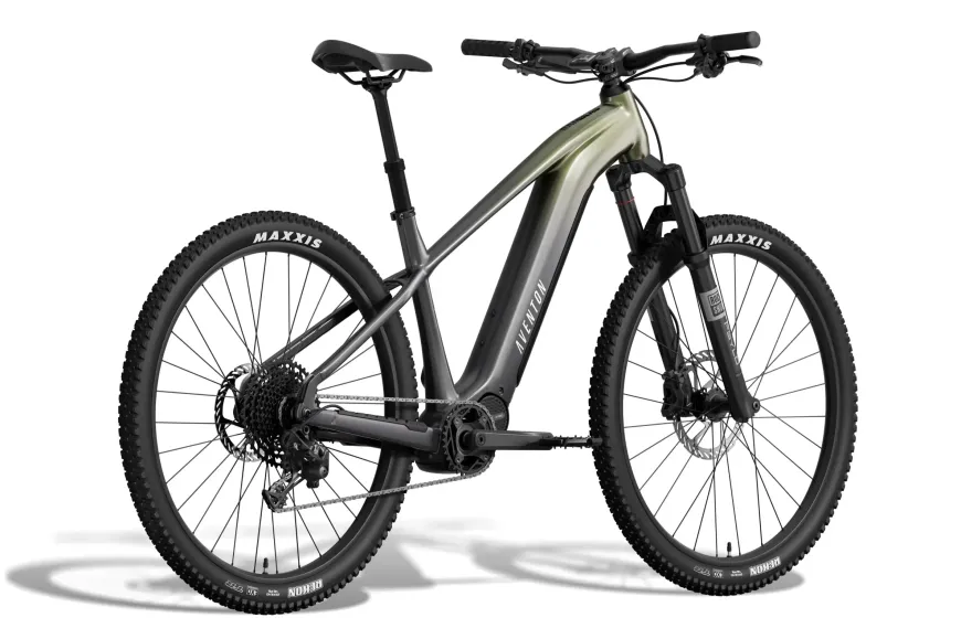 Ramblas ADV Ebike