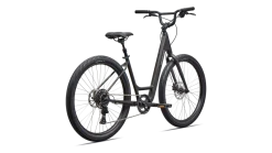 Roll 3.0 Low Entry (2026)