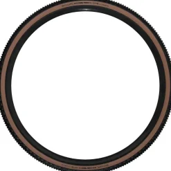 Schwalbe G-One Ultrabite Tire - 700 x 40 Tubeless Folding BLK/Bronze Performance Line Race Guard Addix