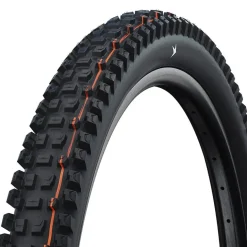 Schwalbe Albert Tire - 29 x 2.50 Evolution Line Gravity Pro Addix Soft Radial E-50