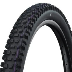 Schwalbe Albert Tire - 29 x 2.50 Evolution Line Gravity Pro Addix Ultra Soft Radial E-50