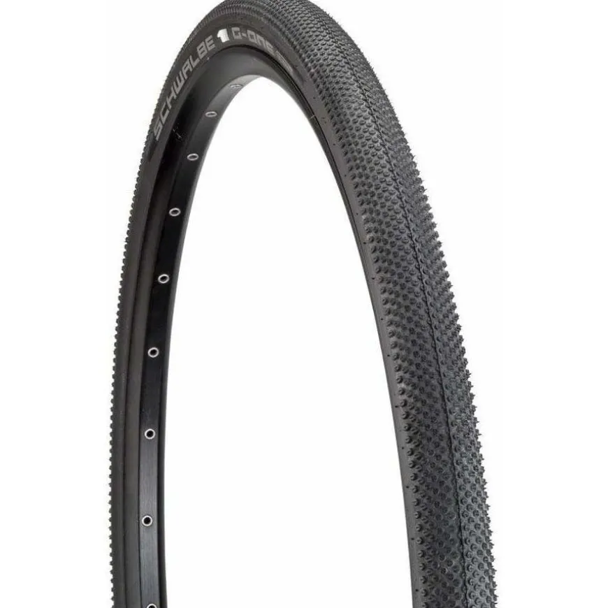 Schwalbe G-One Allround Tire - 29 x 2.25/Reflective Performance Line Addix