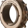 Shimano SF-1200 Freewheel - 18t Bronze