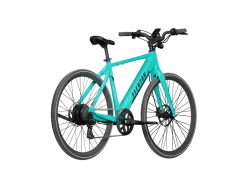 Soltera 2.5 E-Bike