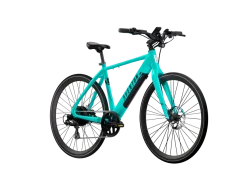 Soltera 2.5 E-Bike